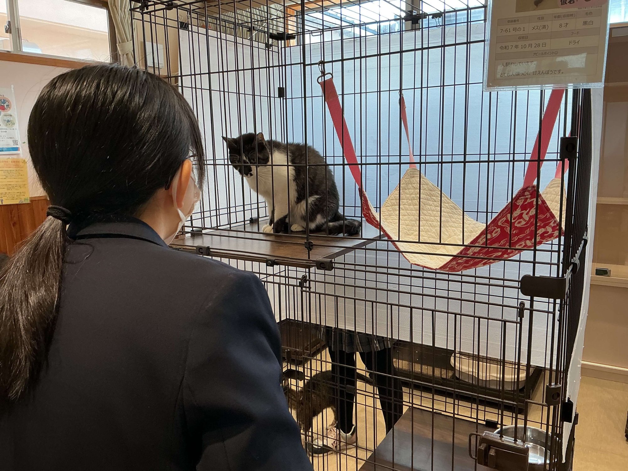 フィールドワークの様子