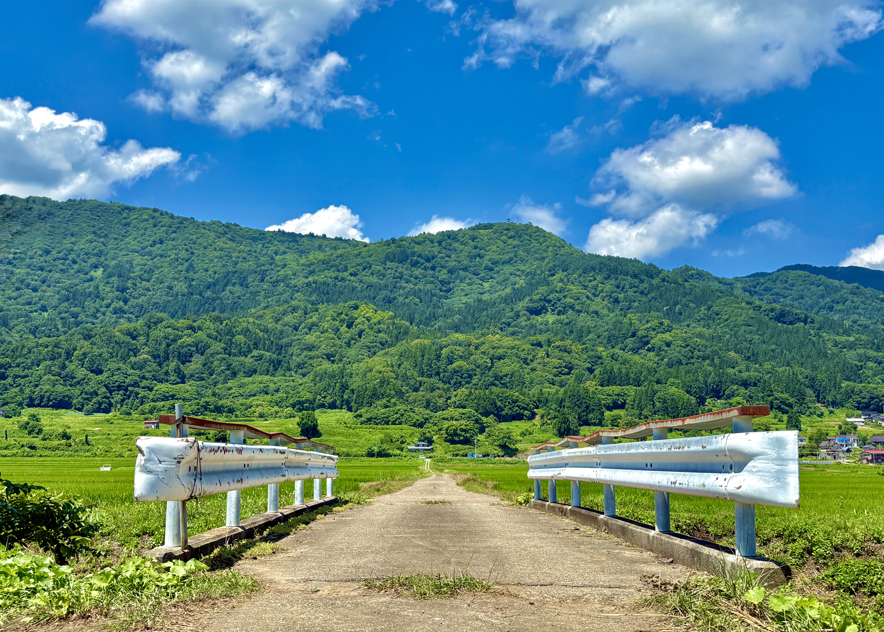 『夏と畦道』金物暉久