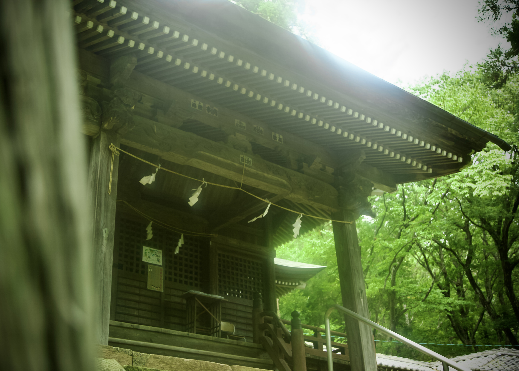 『秘境のミステリアス』宮﨑大空