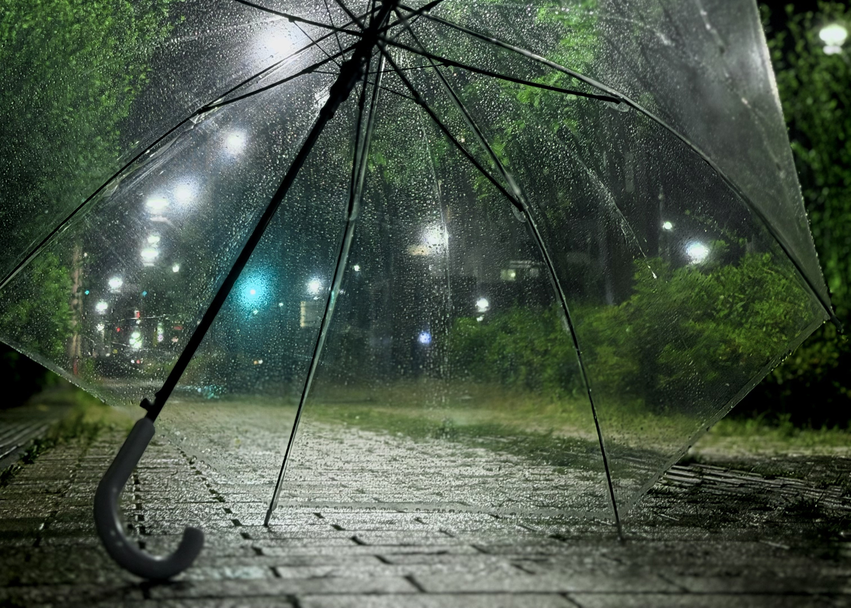 『雨と夜の街』宮﨑大空