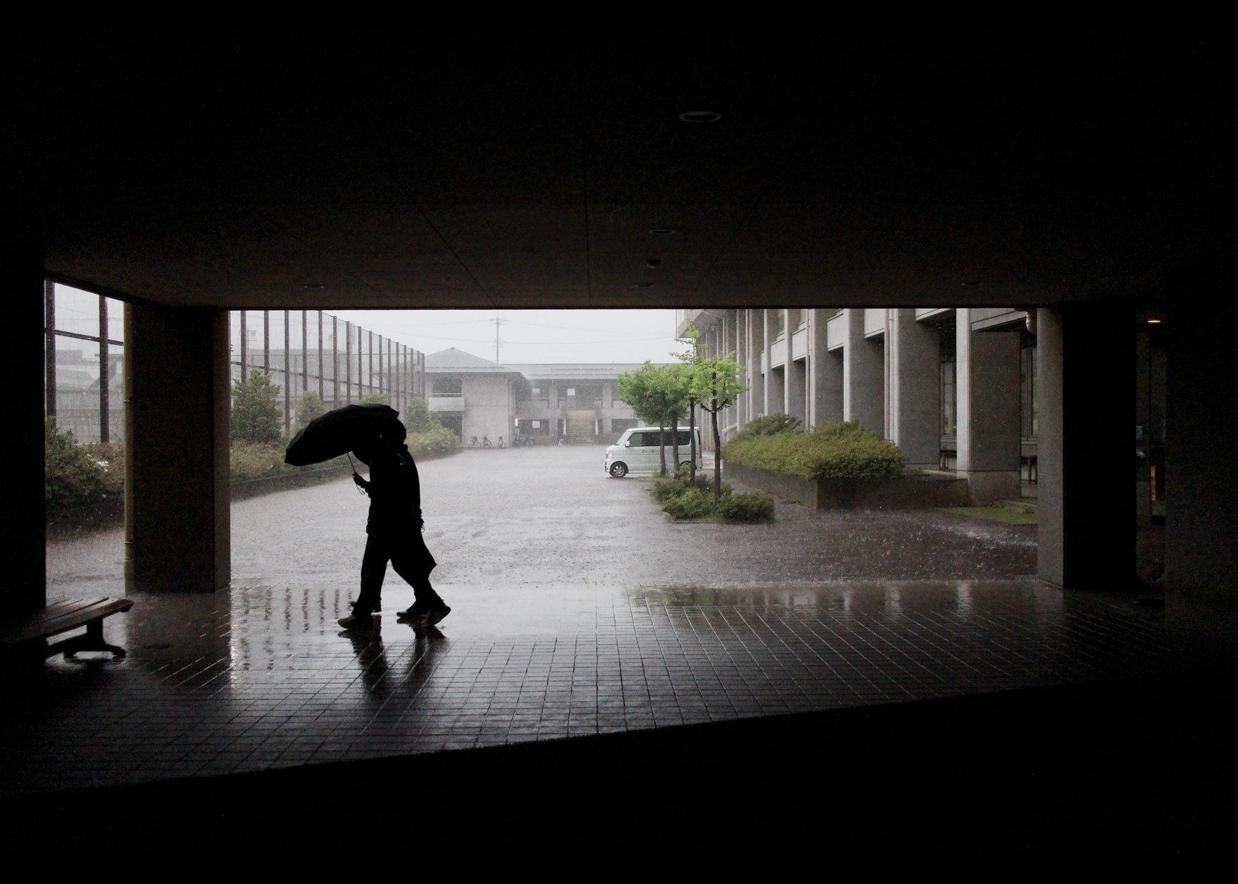 『雨に凪ぐ』矢沢草太