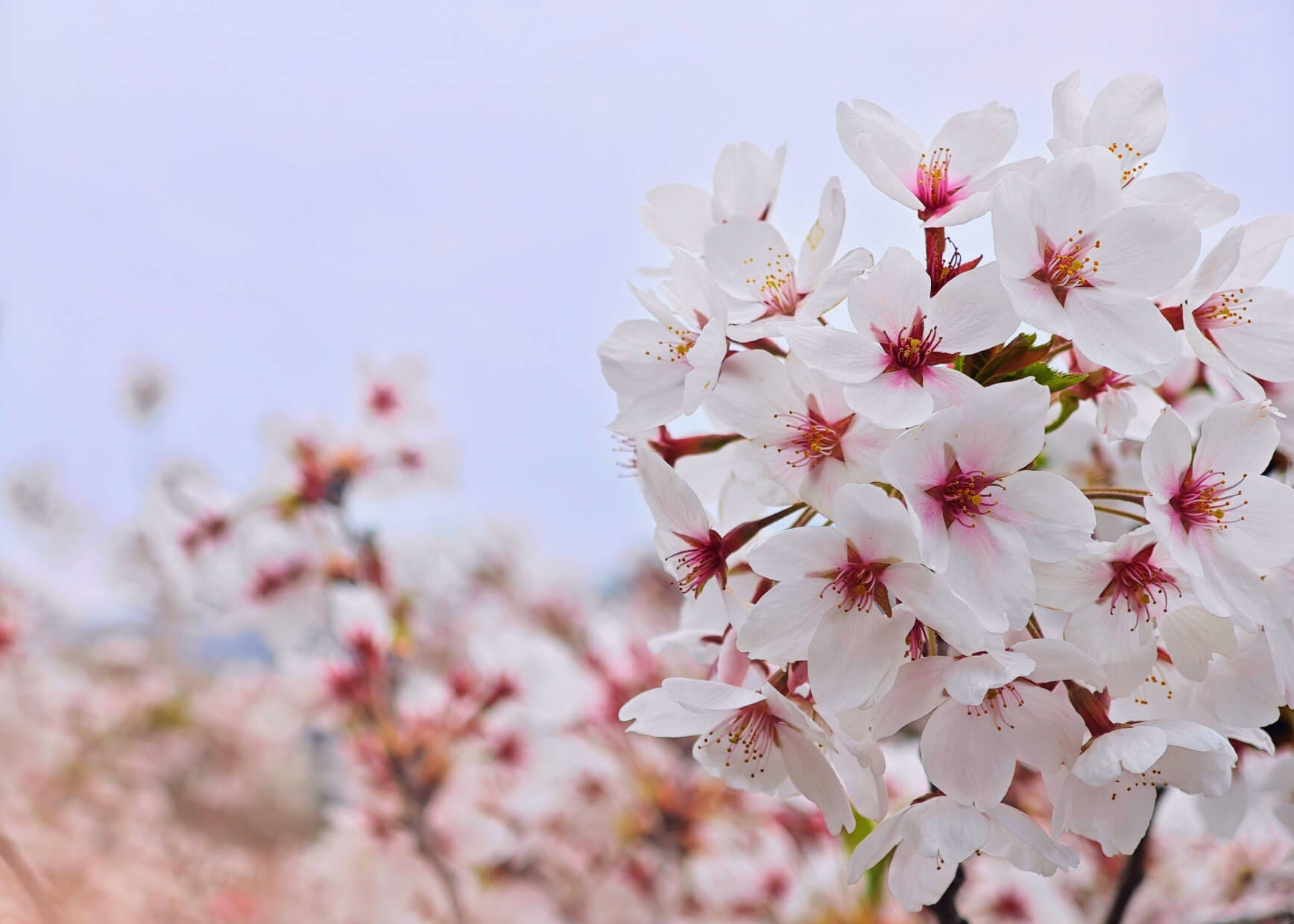 pic_main-visual_slide_03