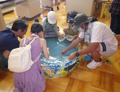 中フェス・芸術祭・1/2学年クラス企画・3年生モギコン・中庭販売・有志文化企画など